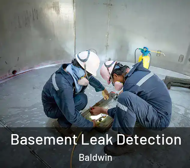  Basement Leak Detection Baldwin