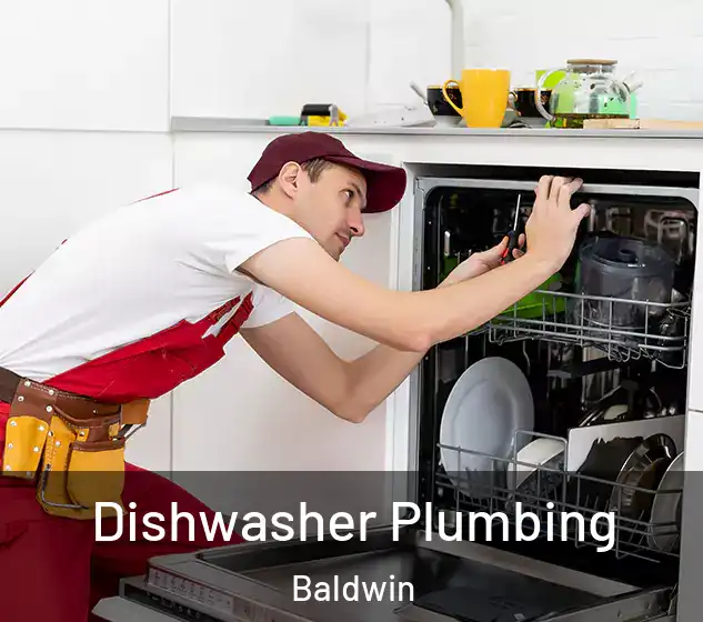 Dishwasher Plumbing Baldwin