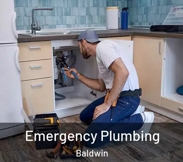  Emergency Plumbing Baldwin