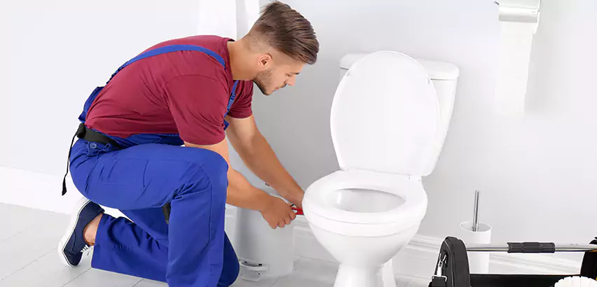 Scope of Bathroom Toilet Bowl Replacement Services in Baldwin, PA