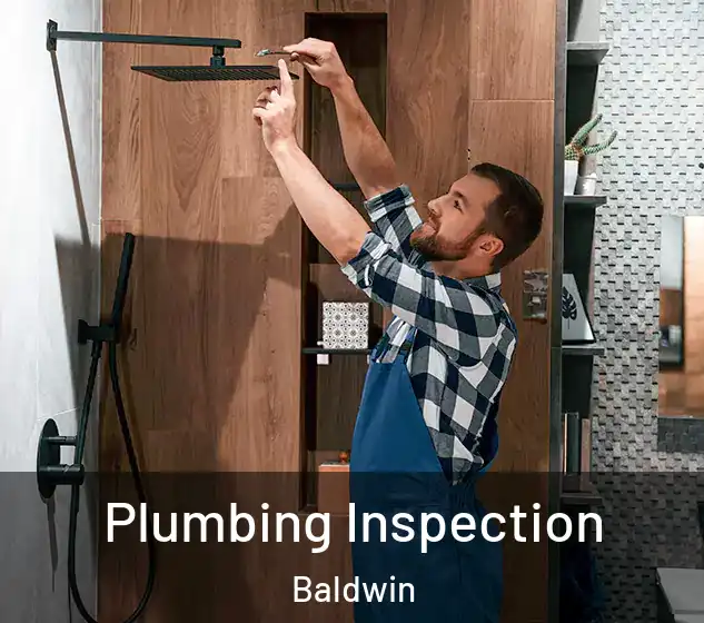  Plumbing Inspection Baldwin