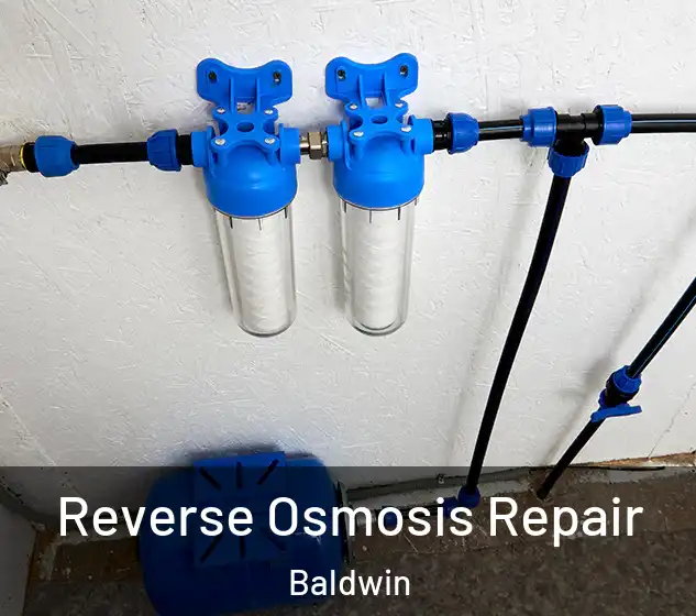  Reverse Osmosis Repair Baldwin