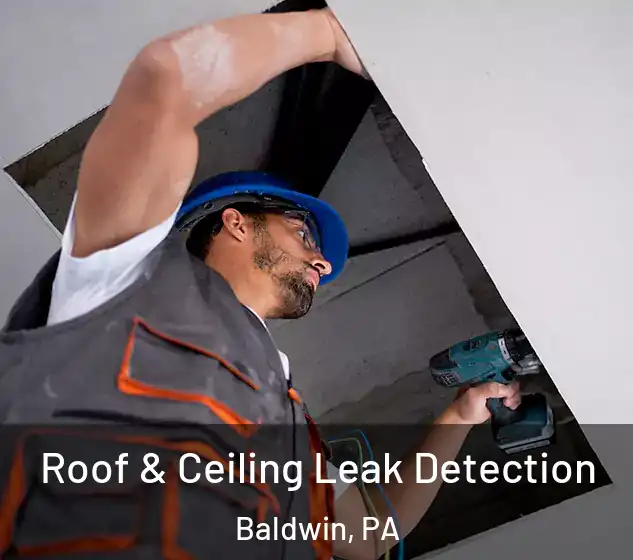  Roof & Ceiling Leak Detection Baldwin, PA