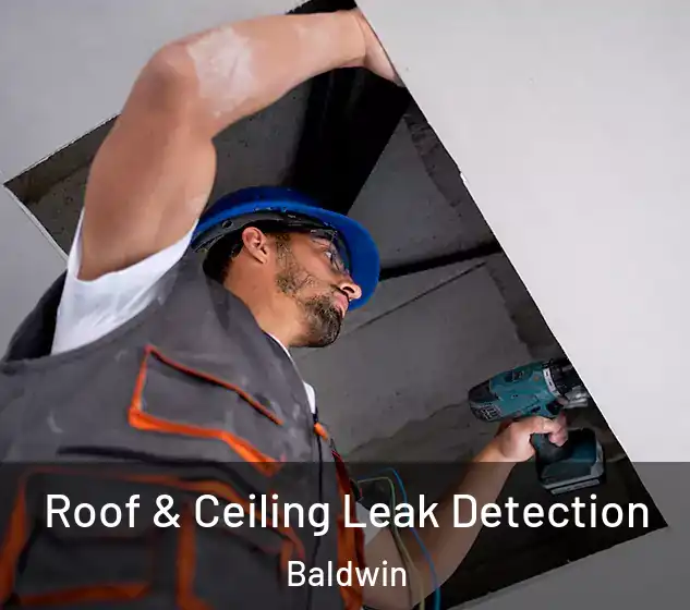  Roof & Ceiling Leak Detection Baldwin