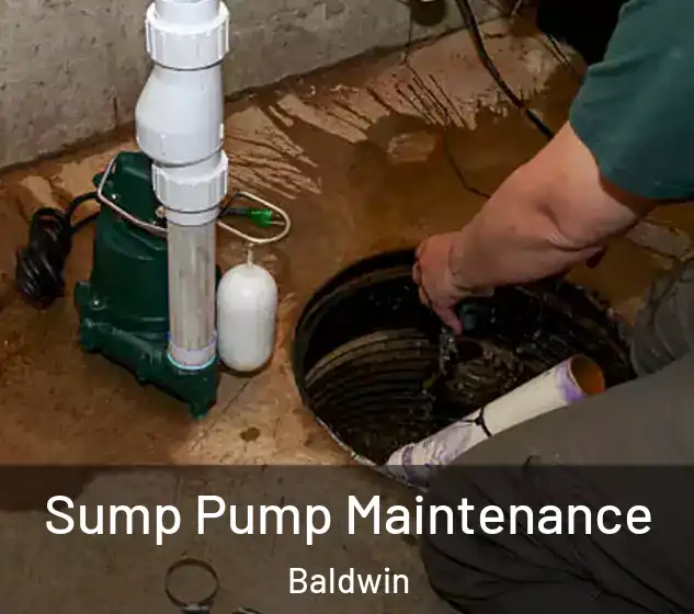 Sump Pump Maintenance Baldwin