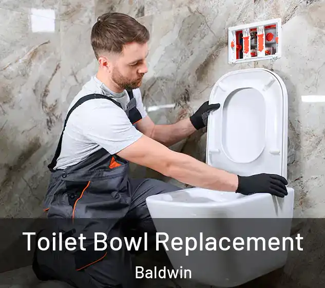  Toilet Bowl Replacement Baldwin