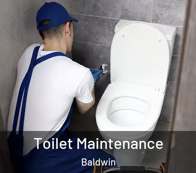  Toilet Maintenance Baldwin