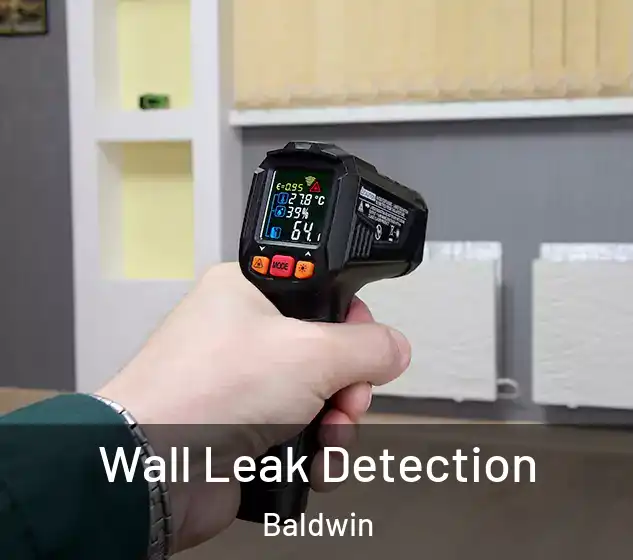  Wall Leak Detection Baldwin