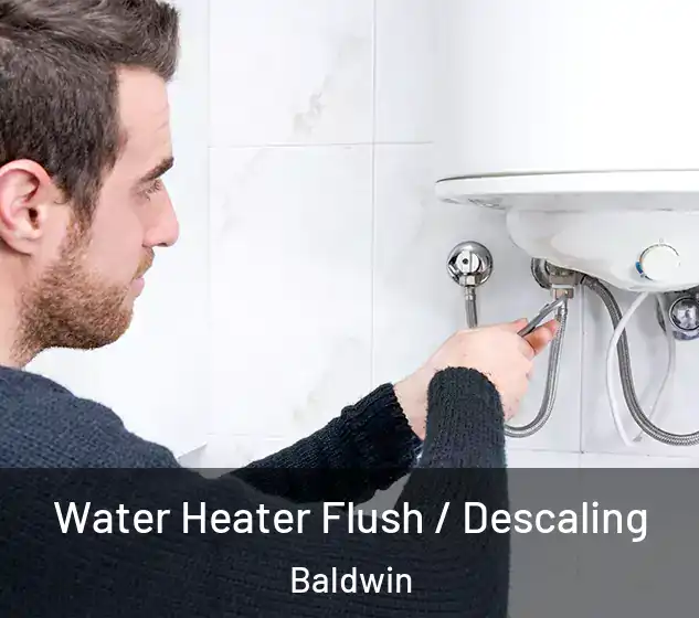 Water Heater Flush / Descaling Baldwin