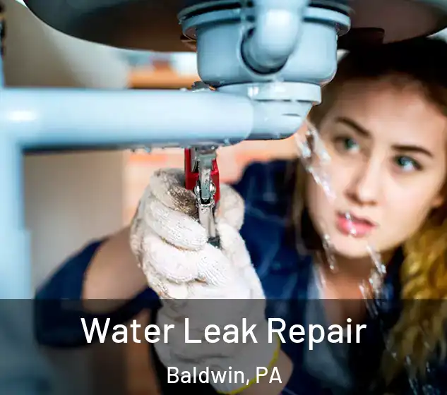  Water Leak Repair Baldwin, PA