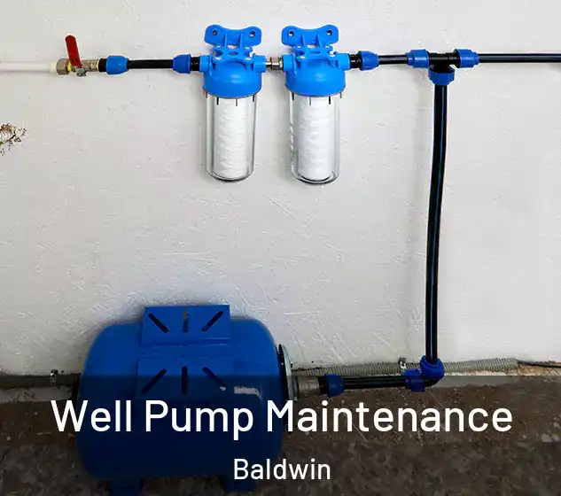  Well Pump Maintenance Baldwin