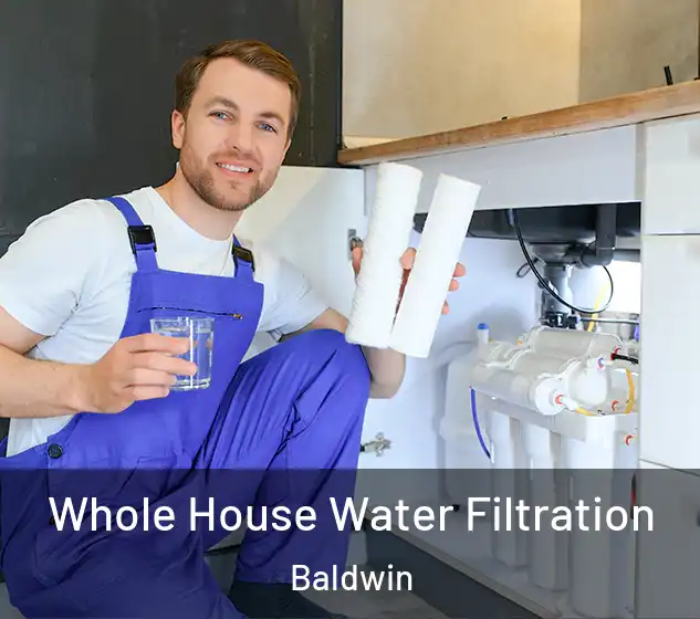  Whole House Water Filtration Baldwin